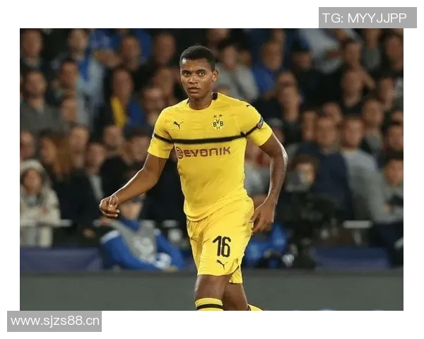 深度解析多特蒙德近期状态全景剖析与未来发展趋势前瞻